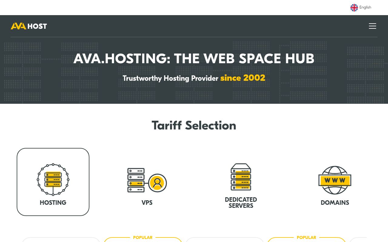 Скриншот сайта AvaHost